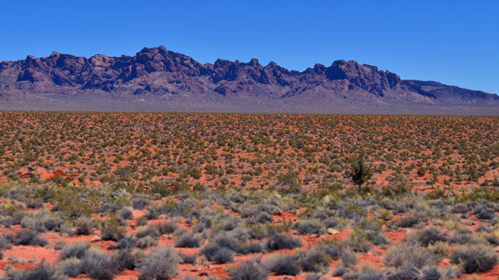 Desert landscape with mountains and sparse vegetation