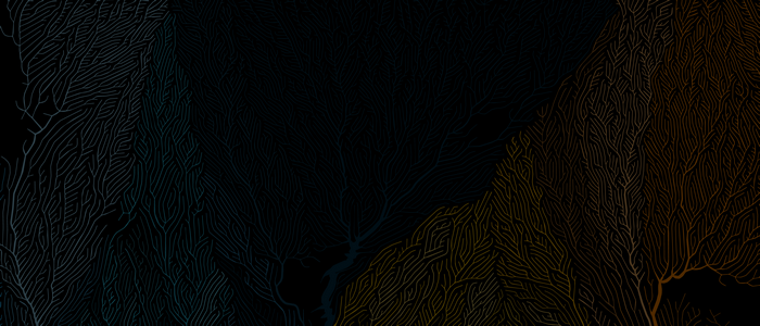 4K Ultrawide Abstract Coral Pattern
