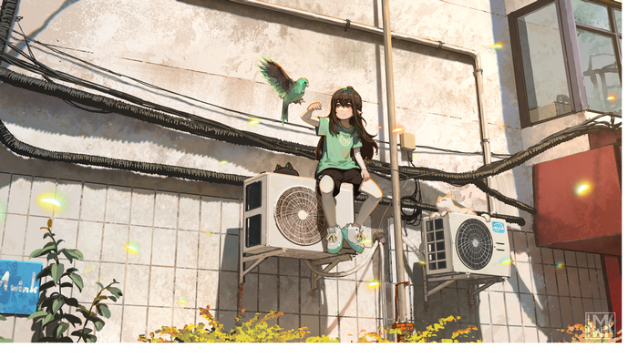 Yun Xi and a bird on air conditioners