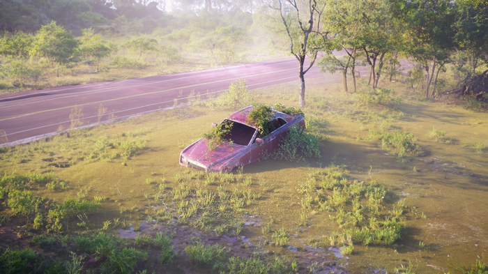 Abandoned car overgrown with plants by the road
