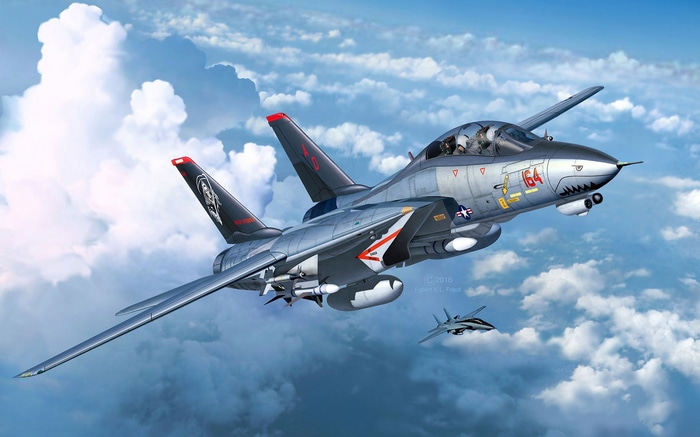 F-14 Tomcat fighter jets flying in clouds
