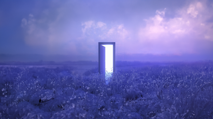 A glowing door in a field of purple flowers