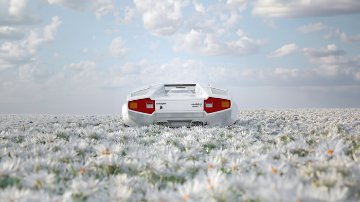 White Lamborghini Countach in a field of daisies