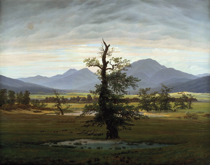 Landscape with Sheep and Mountains by Caspar David Friedrich