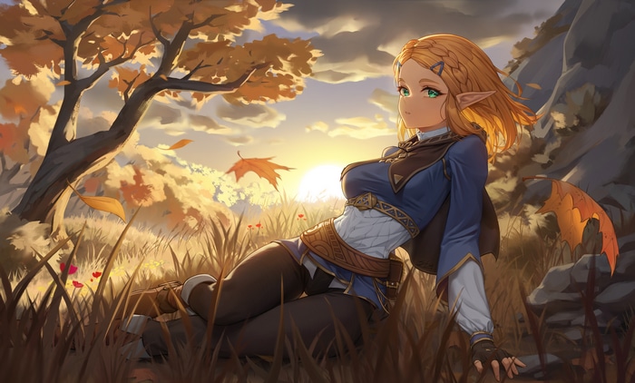 Zelda in a field at sunset