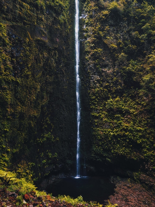 Waterfall cascading down a moss-covered cliff in Madeira