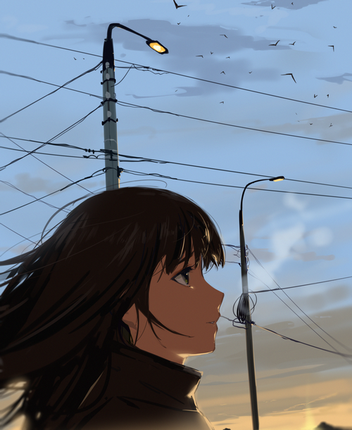 Girl looking at the sunset with street lights and birds
