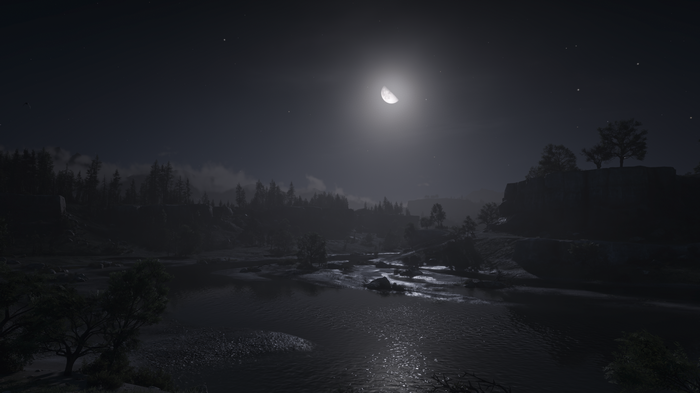 4K Red Dead Redemption 2 night landscape with river and moon