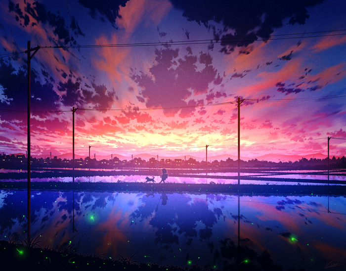 Girl and dog walking by rice fields at sunset