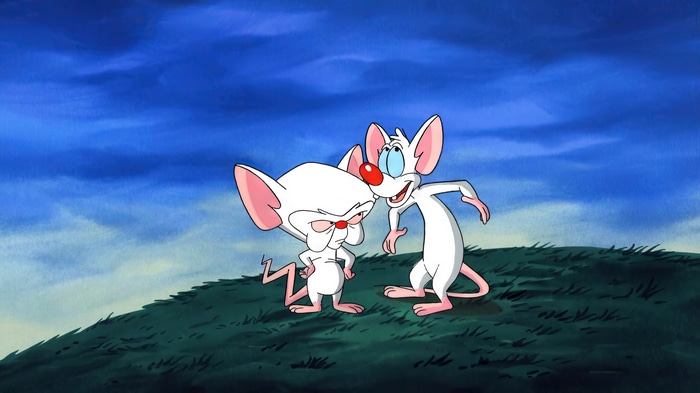 Pinky and the Brain on a grassy hill