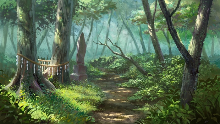 A forest path with trees and sunlight