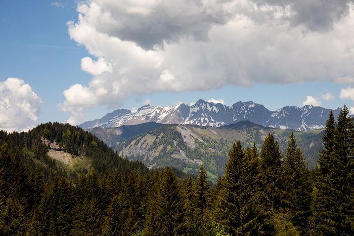Snow-capped mountains behind a green forest under clouds