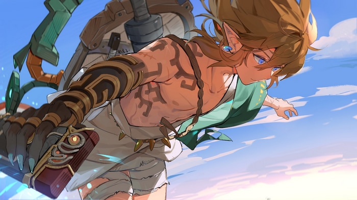Link from The Legend of Zelda: Tears of the Kingdom