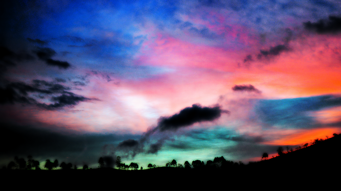 Silhouette of trees against a vibrant sunset sky