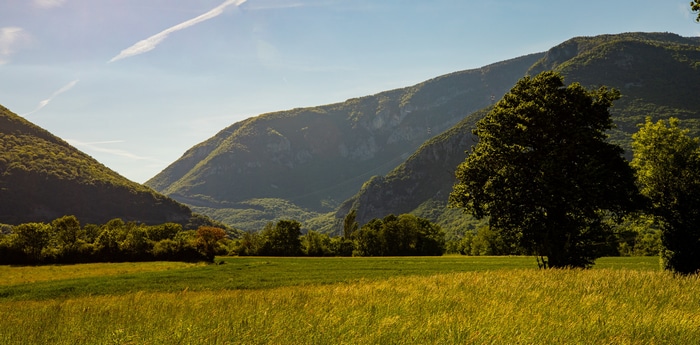 Green valley with mountains and trees