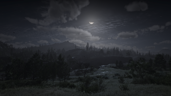 4K night landscape in Red Dead Redemption 2