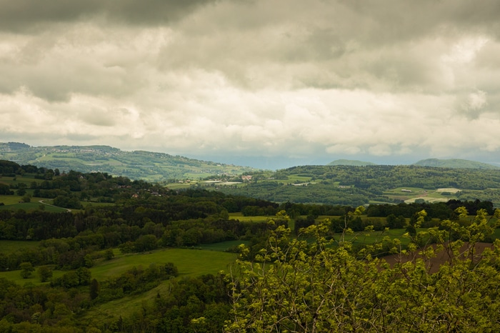 Green rolling hills and trees under a cloudy sky