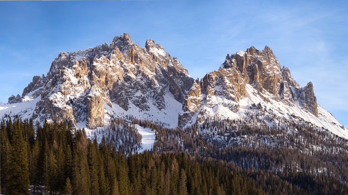 Snow-covered mountains and pine forest under blue sky