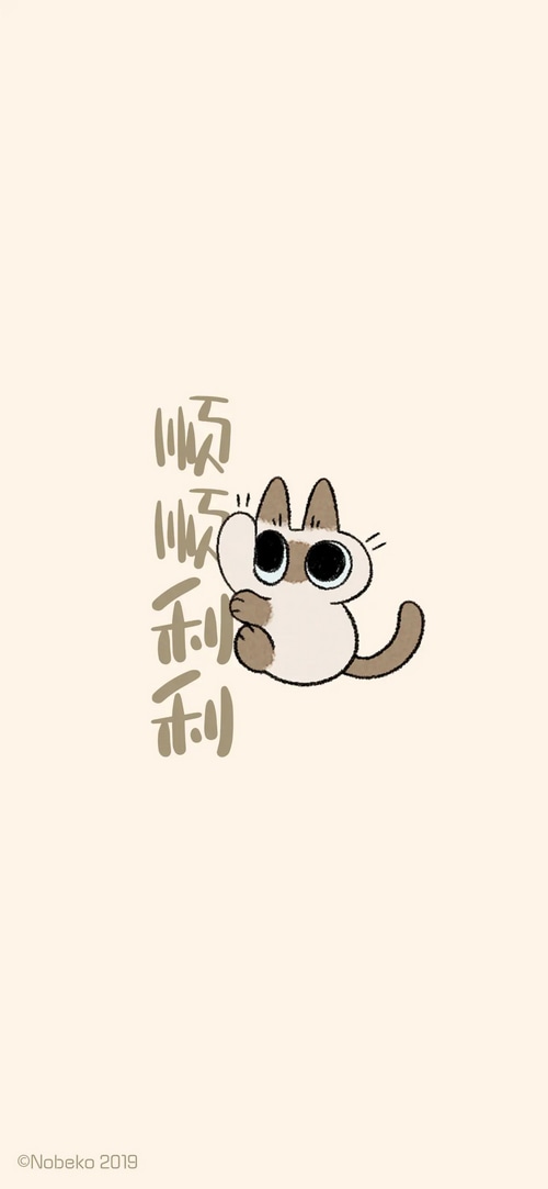 Cute cat with Chinese characters