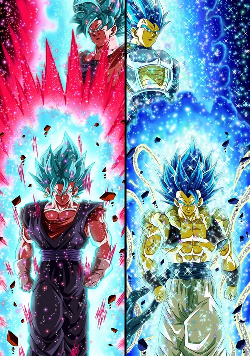 Vegito and Gogeta in Dragon Ball Super