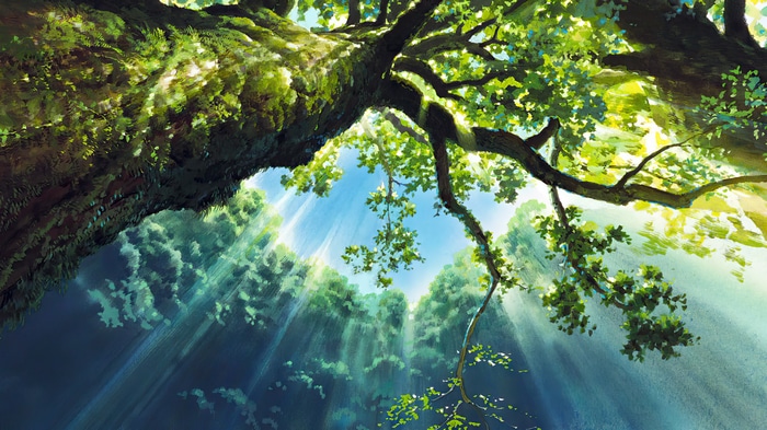 Princess Mononoke: Sunlight filtering through trees