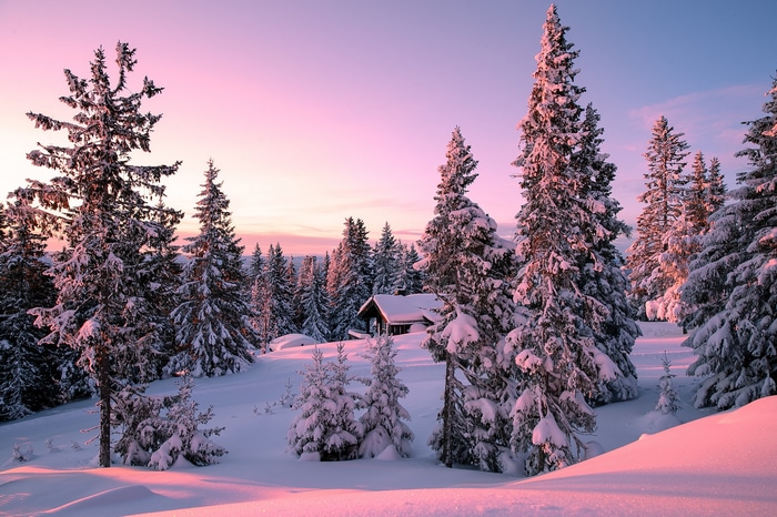 Snowy forest with cabin at sunset