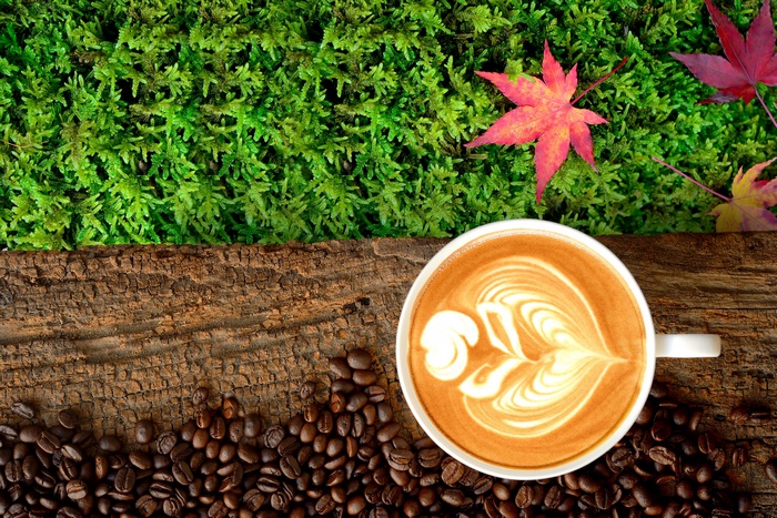 Coffee cup with latte art on a wooden surface with coffee beans and moss
