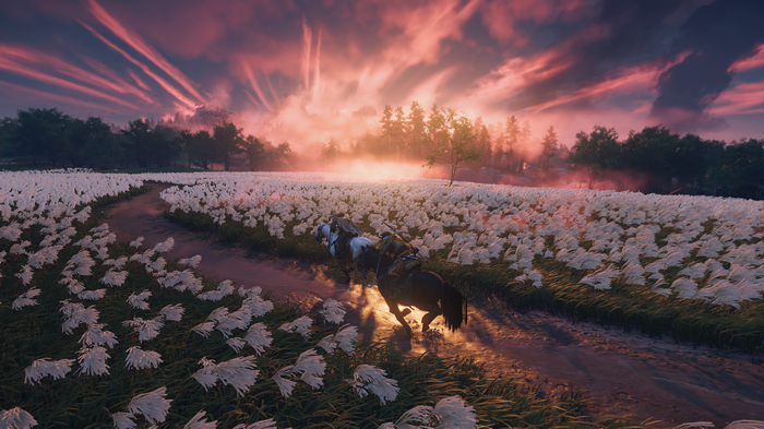 4K Ghost of Tsushima Samurai Sunset