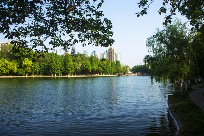 City park with lake and trees