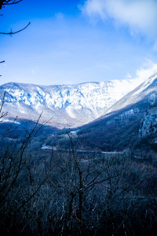Snow-covered mountains and bare trees in winter