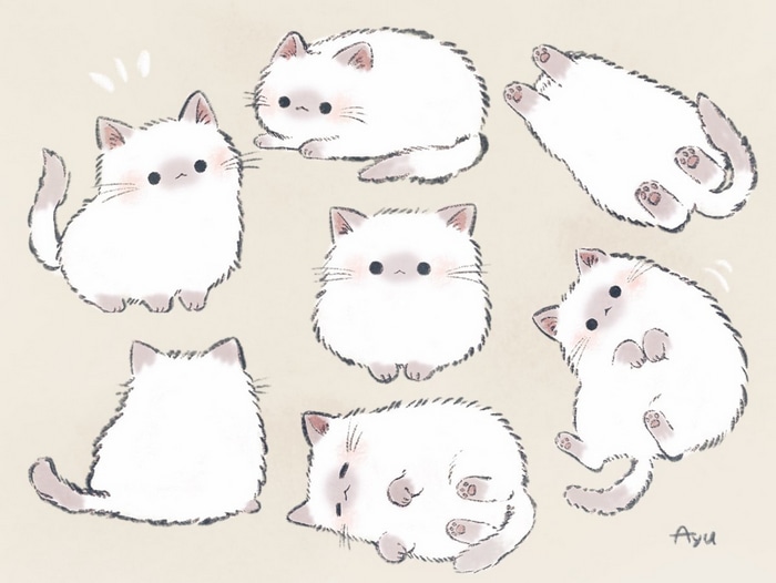 Seven fluffy white cats in various poses