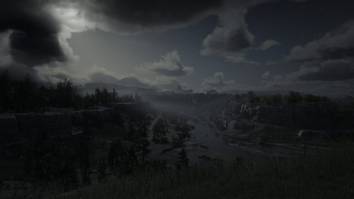 Red Dead Redemption 2 landscape at night
