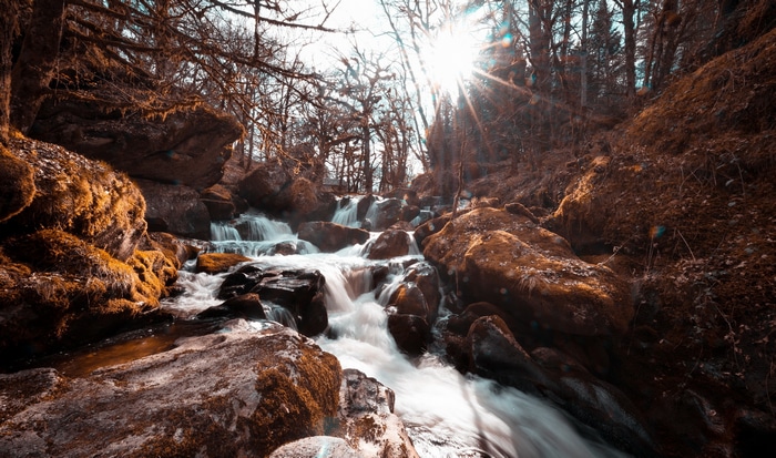 Sunlight streams through trees onto a rocky stream