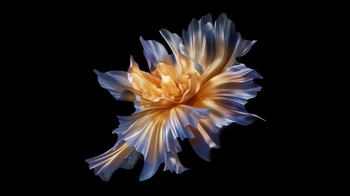 4K 3D Abstract Flower on Dark Background