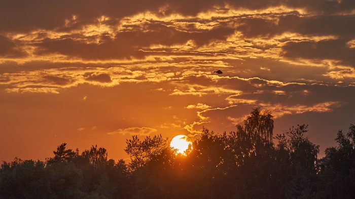 Helicopter flying during a sunset with clouds and trees