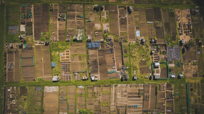 Aerial view of a farm with many garden plots