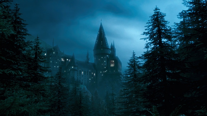Hogwarts Castle at Night with Trees