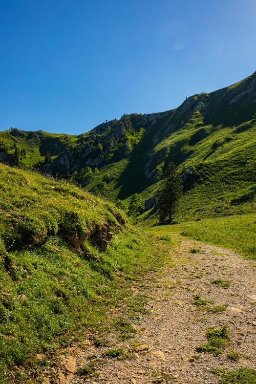 Green mountains and a dirt path under a clear blue sky