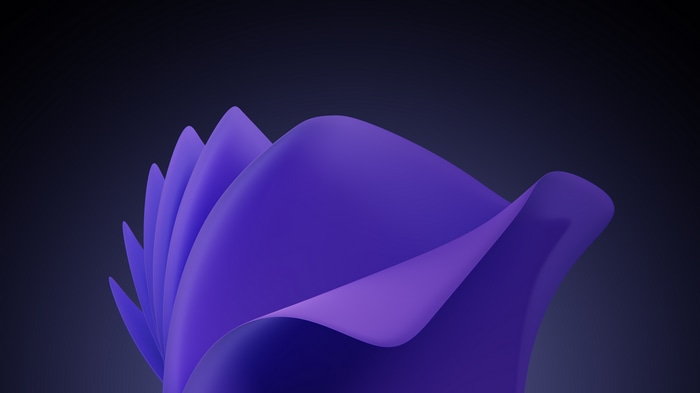 4K Abstract Violet Windows 11 Design