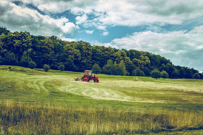 Red tractor mowing a grassy field with trees and clouds