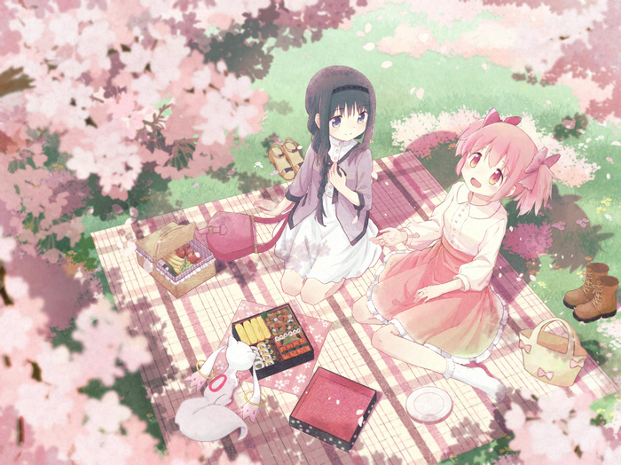 Picnic with Madoka, Homura, and Kyubey under Cherry Blossoms