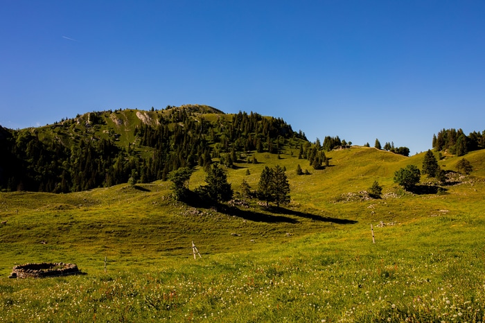 Green mountain landscape with trees and blue sky