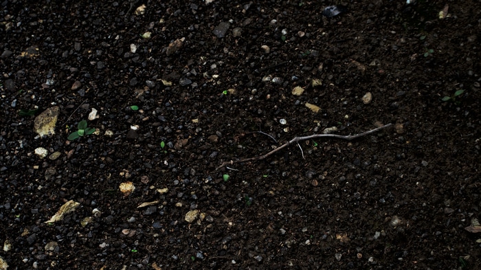4K ground with rocks and sticks