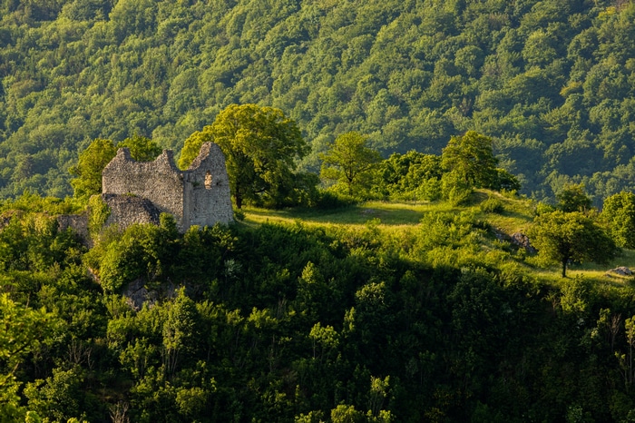Stone ruins on a green, tree-covered hill