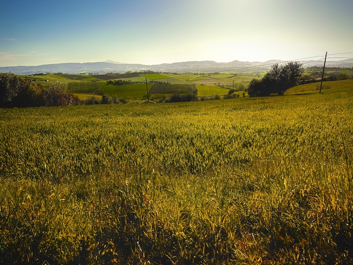 4K landscape of rolling green hills under a bright sky