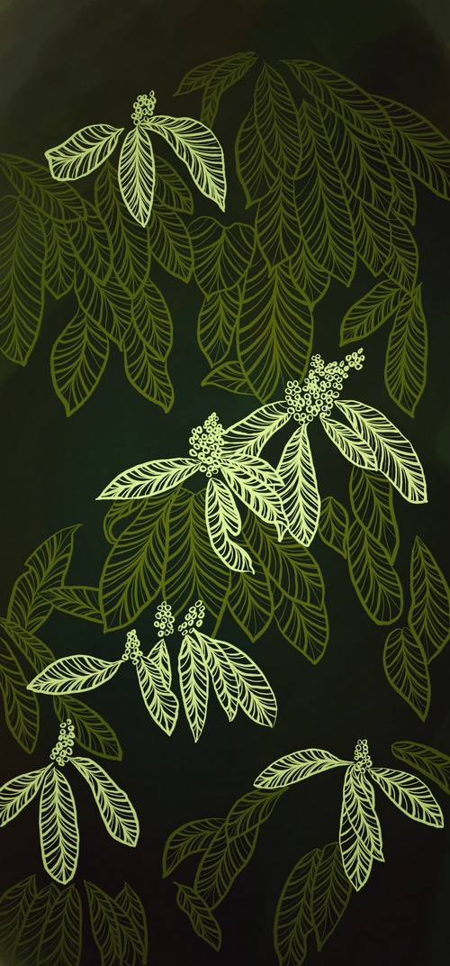 Green leaves and branches with berries
