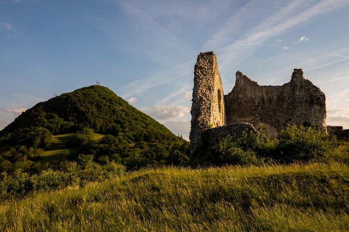 Castle ruins on a grassy hill with a forest mountain