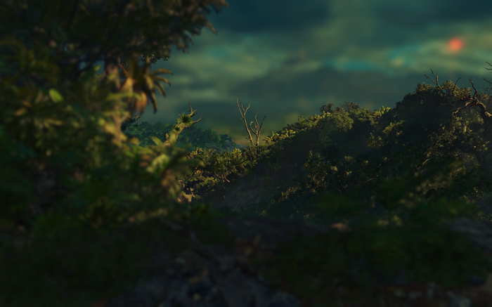 Tomb Raider Digital Art of a Forest Landscape