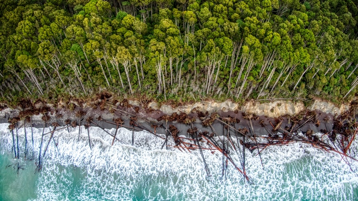 4K Haast New Zealand Coastline with Forest and Waves