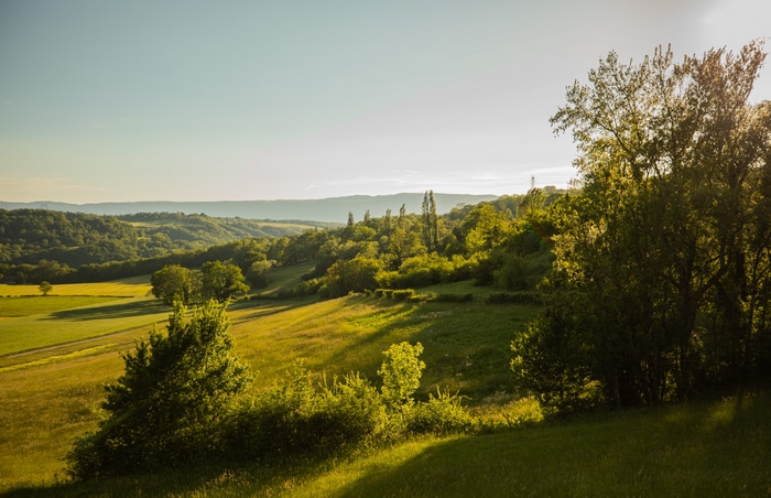 Rolling green hills and trees under a clear sky